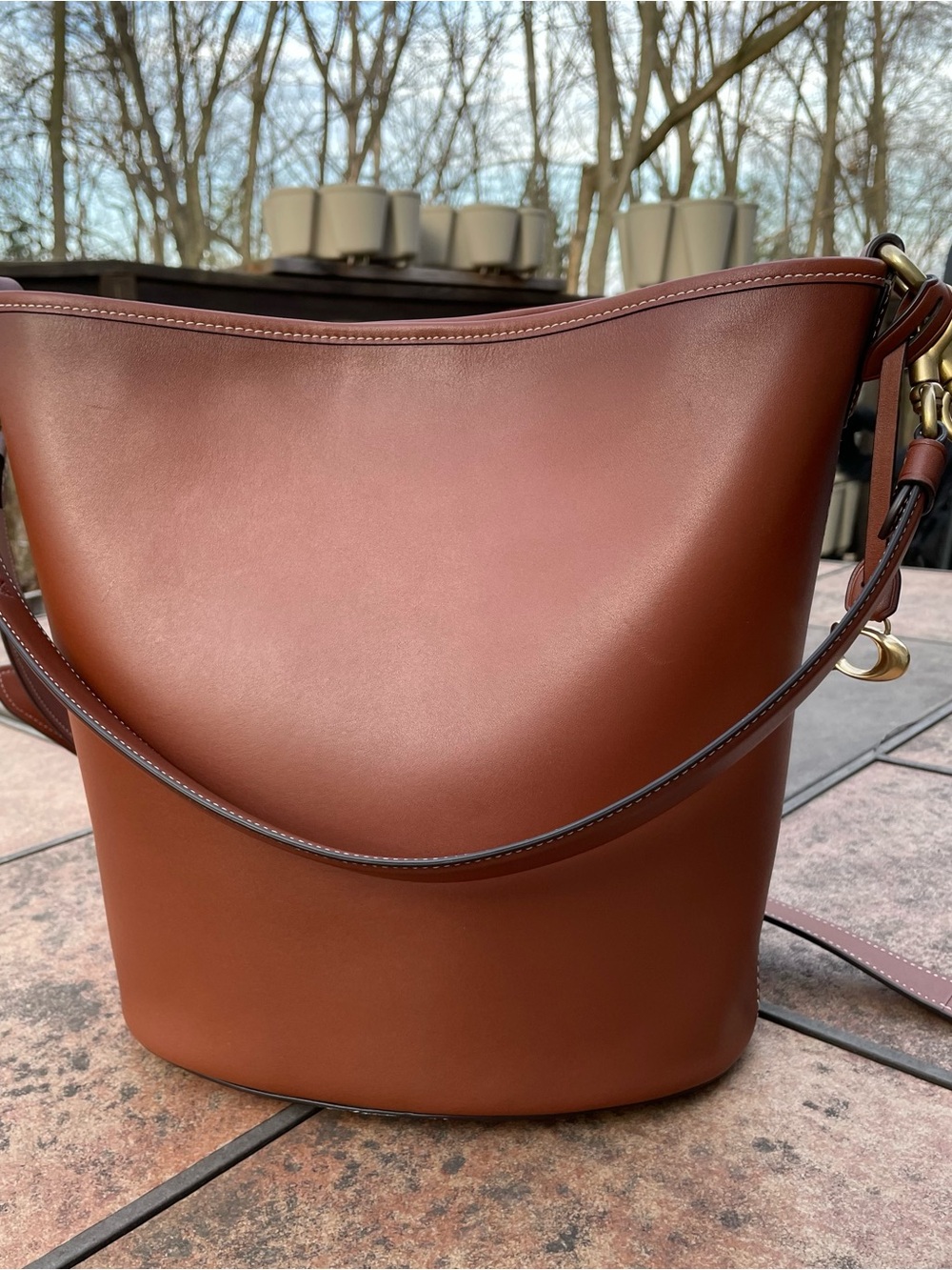 Coach Dakota Leather Bucket Bag Crossbody with Gold Hardware